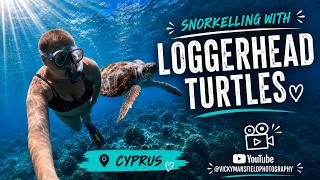 Swimming With Turtles | Cyprus 