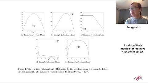 Fengyan Li: A reduced basis method for radiative transfer equation