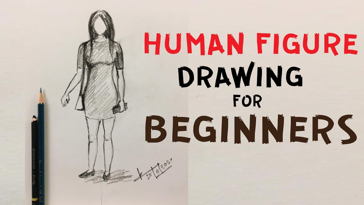 A Guide to How to Draw a Human Figure - Emily's Notebook