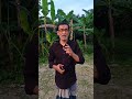 জীবনে কতবার হেরেছেন সেটা কোন। #shorts #sujonbd02