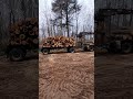 Hemlock pulpwood #shorts #lumberjack #tree #logging #mack #timber #logger #wood #chainsaw #echo