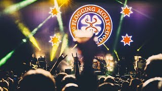 Flogging Molly - Life Is Good (Official Fan Video)