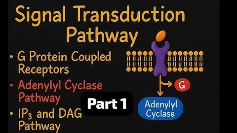 Signal Transduction Pathway part 1 | GPCR, Adenyl Cyclase, IP3-DAG, cholenergic receptors simplify