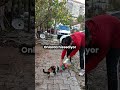 Yorumlara yazın, hangisini hak ediyorlar?❤️ #kedi