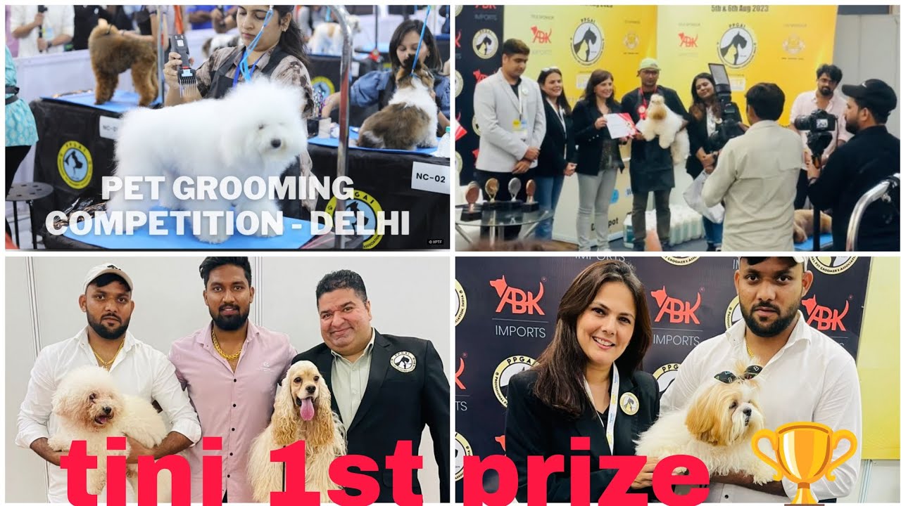 international pet grooming show grooming competition PPGAI