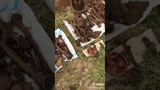 Находка Павших в Великой Отечественной Войне 1941-1945г Находка Павших в Великой Отечественной Войне 1941-1945г