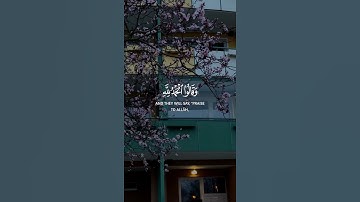 سورة فاطر تلاوة خاشعة بصوت حلو