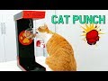 고양이 펀치기계 만들기 / How to cat punch machine