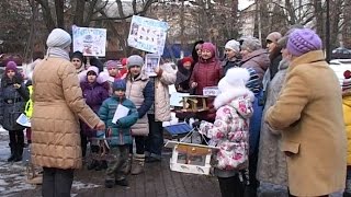 видео Чем кормить синичек: наполняем кормушку!