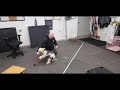 Nj dogs basic foundation training results