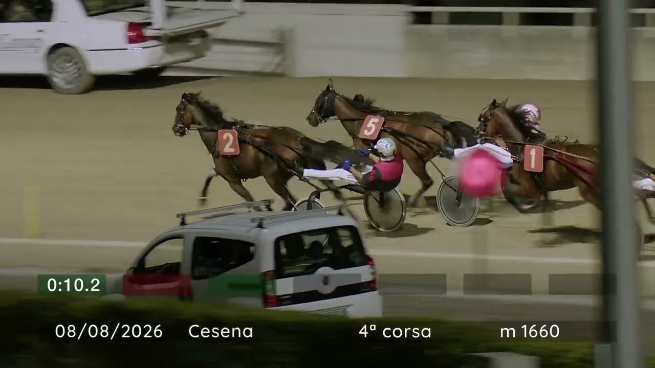 2026 08 08 | Corsa 4 | Metri 1660 | Premio Gergs - Memorial Ermanno Mioli Ed Ercole Spallanzani