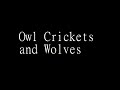 Owl Crickets And Wolves Black Screen 
