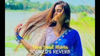 Tera Mera Rishta | Slowed & Reverb Version | Best Mood Song | Use Headphones 🎧