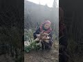  किचन गार्डन में था बहुत काम गाय के लिए घास काटा सब्जी तोड़ी#youtube #organic #farming #agriculture 