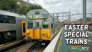 Sydney Trains Vlog 1276: Sydney Royal Easter Show Special Trains