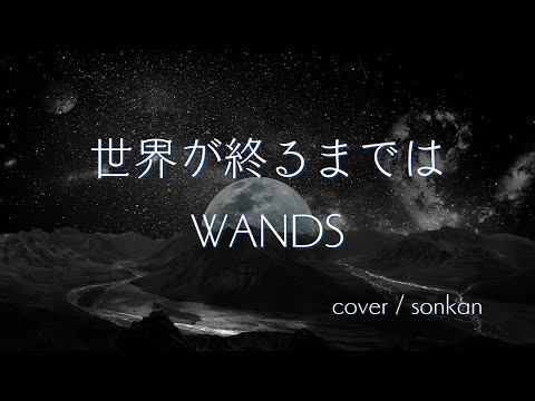 世界が終るまでは / WANDS【SLAM DUNK エンディング】～歌ってみた～『covered by sonkan』