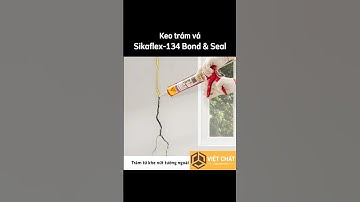 Keo trám vá vết nứt tường trong, tường ngoài #shorts #shortvideo #sika