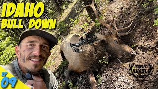 Idaho Archery Bull Down Packout With Amazing People Plh 3.09