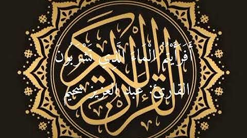 القارئ عبد العزيز سحيم.