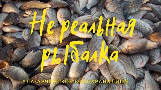 Рыбалка в Кыргызстане / Ала-Арчинское водохранилище / Рыбалка 2022 год.