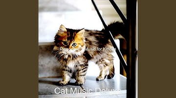 Pulsating Backdrops for Cute Cats