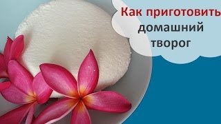 Готовим творог в домашних условиях Готовим творог в домашних условиях