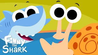Shelly The Snail | Kids Counting Song | Finny The Shark by Finny The Shark 6,101,887 views 11 months ago 2 minutes, 8 seconds