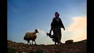 Aşık Gülabi Selam Söyleyin Resimi