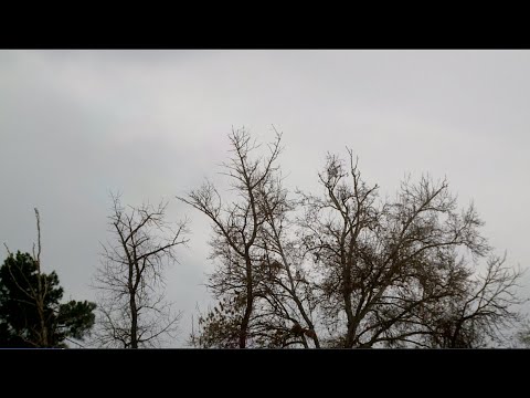 Погода сегодня в Таджикистан: Облачно с прояснением и небольшой дождь в долинах