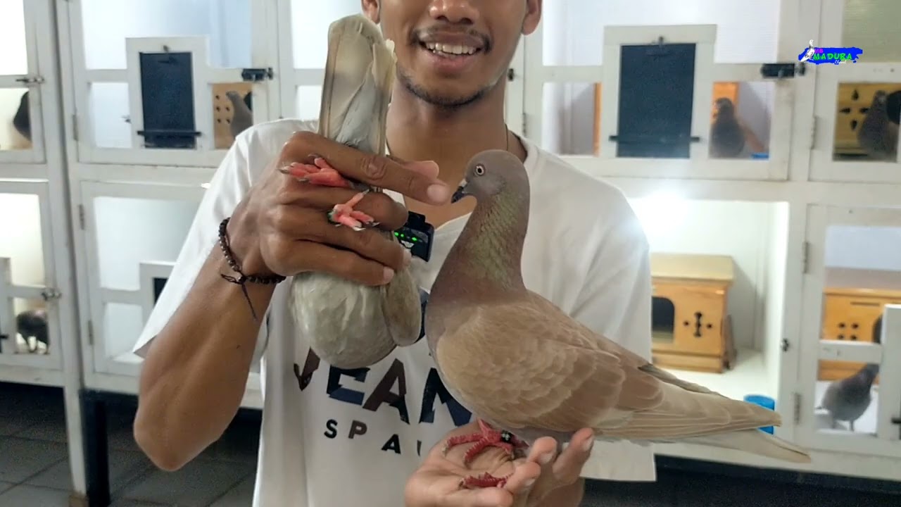 BONGKAR PLAYER SUNRISE JUARA SELEKNAS DAN LU NASIONAL CIREBON 2023