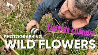 Photographing Wildflowers | A Walk In The Woods & Some Top Tips