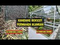 Kandang bekicot permanen alamiah