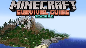 The Minecraft Player