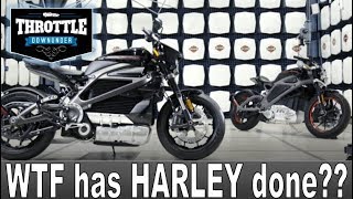 Harley-Davidson Street Fighter, Livewire and Pan America (New Models)