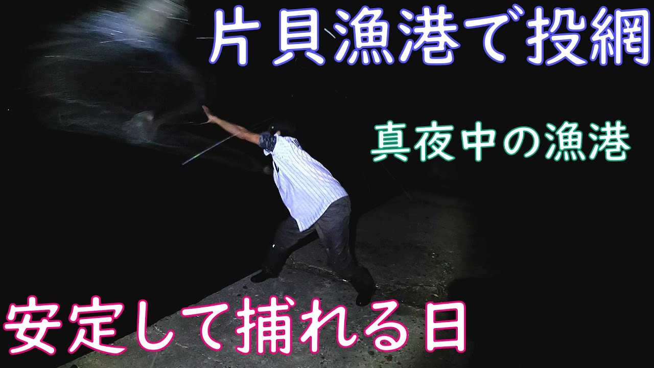【投網】冬間近の真夜中の片貝漁港に友人と投網を打ちに行ったら色々な生物と大物も捕れた【秋の漁港】