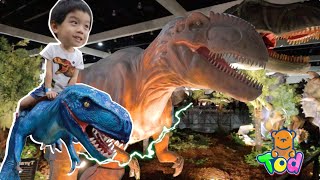 Jurassic Quest Park Dinosaur Kids Play!