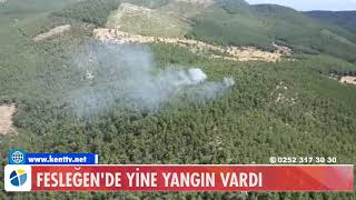 Fesleğende Yi̇ne Yangin Vardi