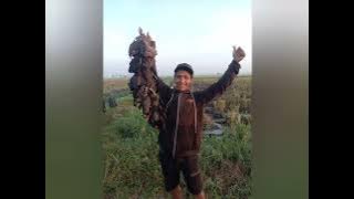 SUARA PIKAT BURUNG MANDAR BATU jOS❗❗❗