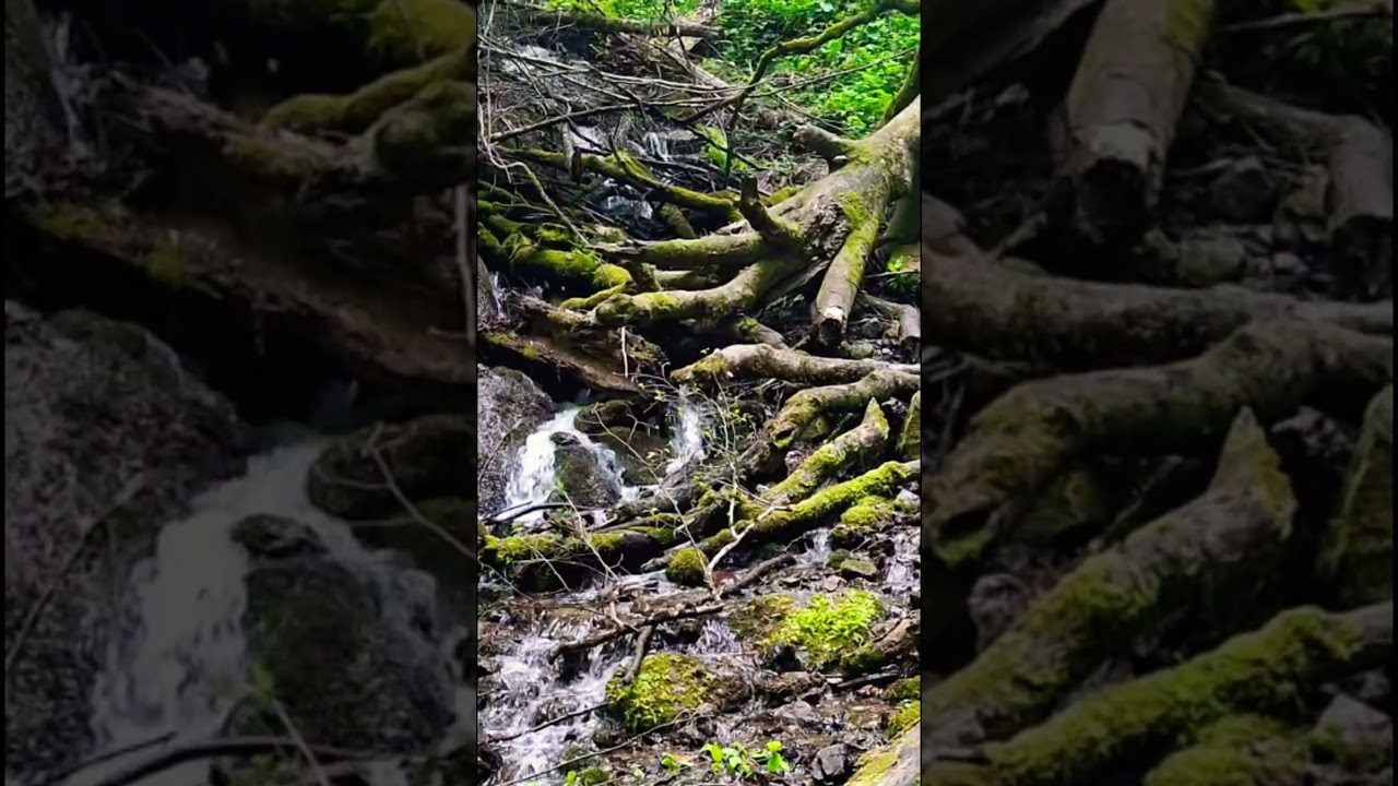 Yedigöller 💚 | AL&EM |