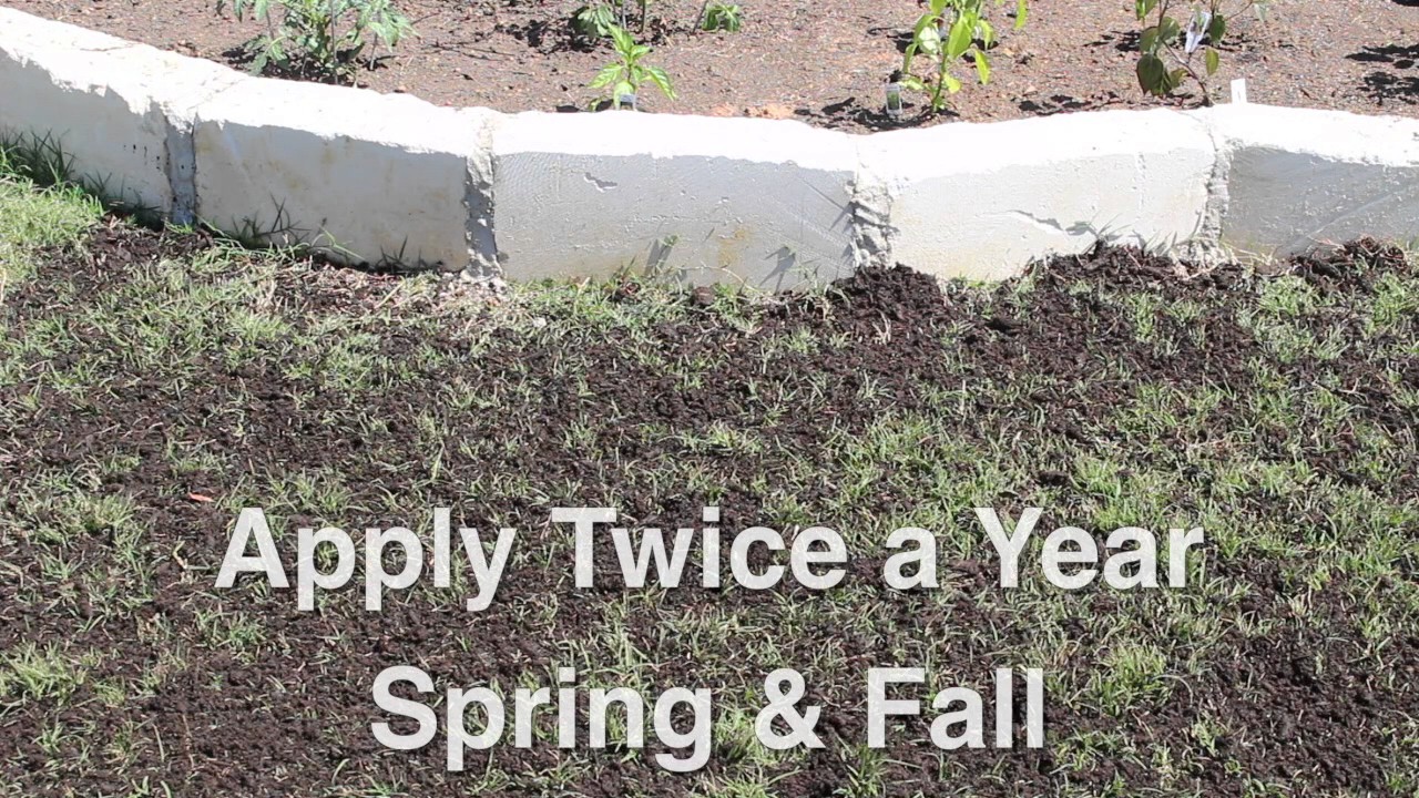 Diy Topdressing Your Lawn With Compost Youtube