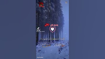 سورة الأنفال 🌼 الشيخ ياسر الدوسري 🌼 تلاوة خاشعة ورائعة بإذن الله تعالى 😌#متابعة_فضلا_وليس_أمرا😊