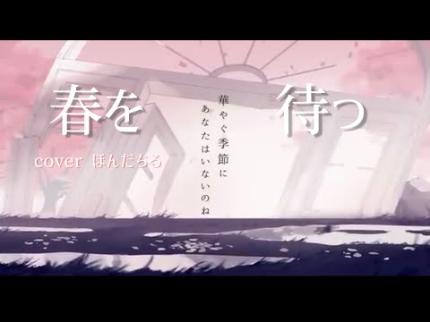 春を待つ Islet 【歌ってみた ほんだちる】🎗歌い手甲子園23春 VTuber