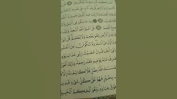 سوره الانعام ايه ١٤