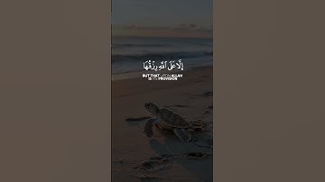 و ما من دابة في الأرض إلا على الله رزقها و يعلم مستقرها و مستودعها || القارئ: أحمد العجمي