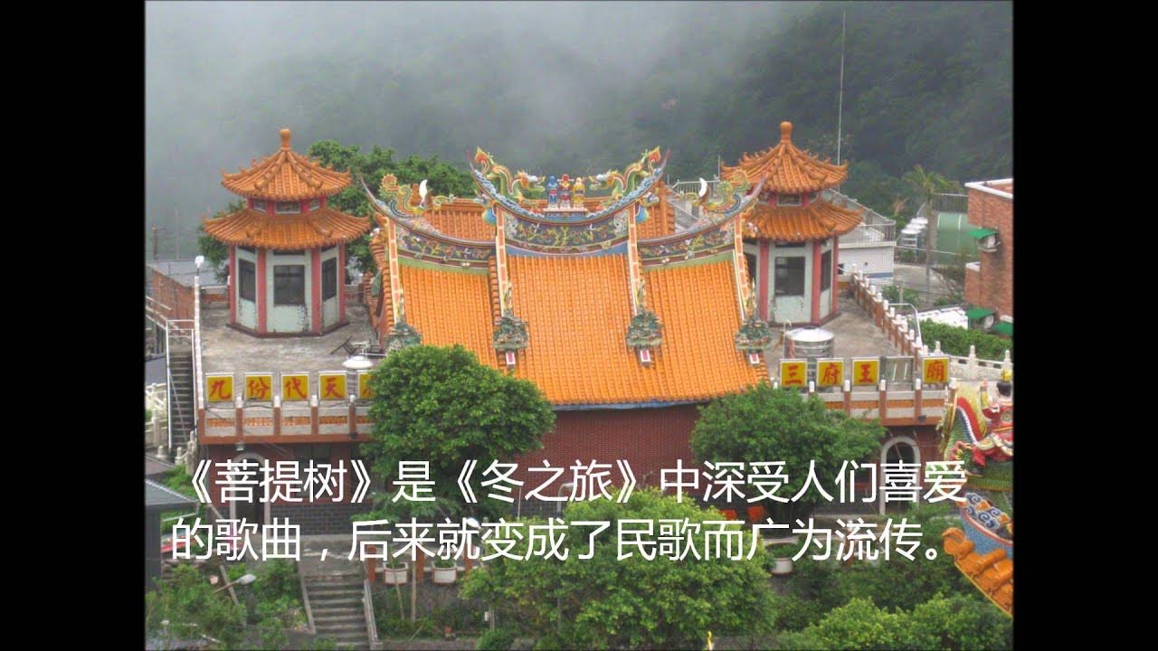 菩提树 北京天使合唱团 菩提树 北京天使合唱团