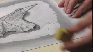 Marie's 4B Eraser Visual Commerce #2 screenshot 5