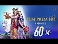 Tum prem ho  reprise  lyrical  radha krishn  mohit lalwani  surya raj kamal