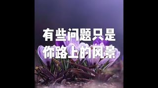 201806 有些问题只是你路上的风景23406