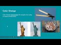 Evidences of Chemical Reactions and Changes