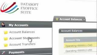Datasoft FxOffice Web Portal screenshot 3